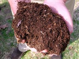 죽어서 자연으로… 美 ‘<strong>퇴비</strong> <strong>장례</strong>’ 본격 시행