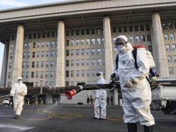 주변엔 “차출됐다” 말하고…대구로 달려온 ‘백의의 전사들’