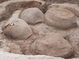 자동차 만한 공룡알?… 2만 년 전 <strong>포유류</strong> 껍질 화석 발견