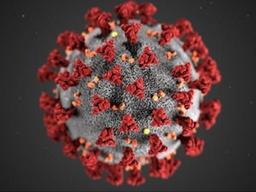 국내 연구진, <strong>코로나19</strong> 항체 실마리 풀었다