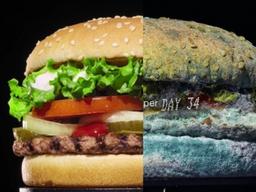 ‘곰팡이 버거’까지 내세운 버거킹, 그럼에도…