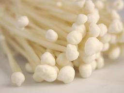 美서 한국산 <strong>팽이버섯</strong> 먹고 4명 사망…농식품부 "익혀먹지 않아서"