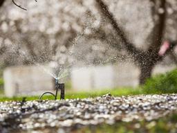 <strong>캘리포니아</strong>아몬드 협회, 지속가능한 수자원을 위한 노력 지속