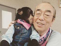 日 <strong>연예계</strong>, 시무라 켄 코로나19 사망에 통곡 "국민 개그맨 잃었다"