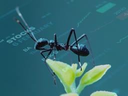 왜 개미들은 주식시장에서 실패하는가?
