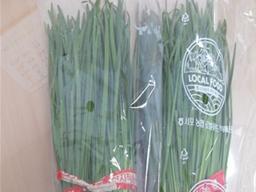 [나눔과 배려 캠페인]<strong>혈액</strong><strong>순환</strong>에 좋은 ‘서포 부추’