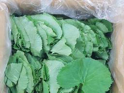 [나눔과 배려 캠페인]강원도의 산과 물을 먹고자란 ‘삼척 곰취’