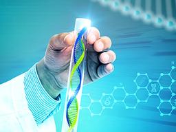 바이오는 '알짜'…높은 가성비 자랑