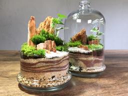 [ESC] 책상 위의 작은 정원 ‘테라리엄’