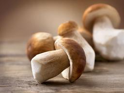 [나눔과 배려 캠페인]고단백 <strong>저칼로리</strong>인 ‘의령 새송이버섯’