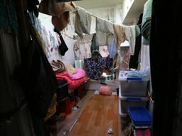 사파리 구경하듯 가난을 ‘관람’하네