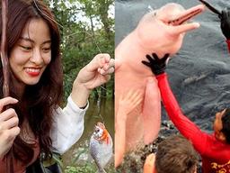 세계에서 가장 큰 강에서 '보트 체험'하면 흔히 겪는 일