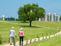 점심 후 짧은 산책으로 비타민D 충전 끝?