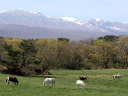 제주행 티켓 동났다… “지침 지켜달라”