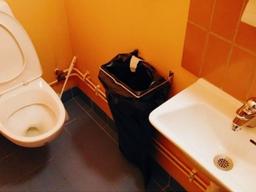 스웨덴 처음 간 한국인들이 화장실에서 충격받는 이유