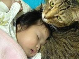 예방접종 맞고 칭얼대는 <strong>아기</strong> 집사..품에 꼭 안아 재운 고양이