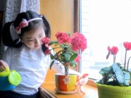 "우리는 꽃나비" 북한판 브이로그·먹방, 어떻게 생각하십니까