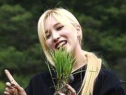 '6시 내고향' PD "<strong>트와이스</strong>, 어르신들도 예뻐한 열정"