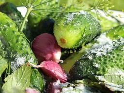 [더오래]음식을 소금에 절이면 왜 썩지 않을까?