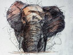 [Pick] 파인애플 먹고 숨진 코끼리…안에 들어있던 '끔찍한' 물건