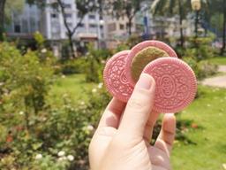 벚꽃 입힌 <strong>오레오</strong>, 베트남에서 대히트