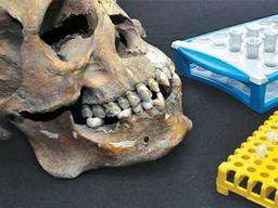 게놈으로 밝혀냈다… 3500년전 이역만리 우물서 숨진 여인의 고향