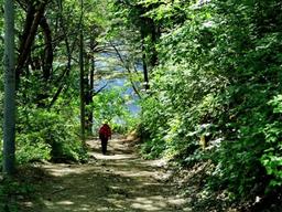 숲터널 끝의 푸른빛, 치유로 가는 이정표