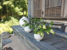 달항아리 도자기, 그림, 사진 중에 무엇이 가장 비쌀까