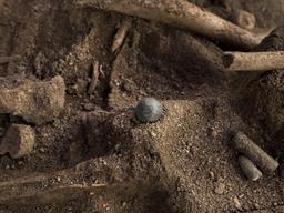 3일동안 부역자들 씨 말리겠다며 젖먹이까지 끌고 갔다