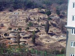 눈앞에 펼쳐진 무덤으로 화제되었던 ‘일명 <strong>묘지</strong>아파트’, 그 이후 달라진 근황