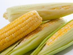 여름철 최고의 간식이 ‘옥수수’인 이유