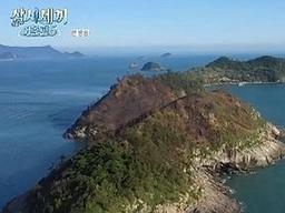 '삼시세끼5' 나영석PD, 죽굴도 화재 사과 "<strong>인명 피해</strong> 無, 복원 중" [엑's 이슈]