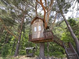 '허클베리 핀의 꿈'… 피톤치드 가득한 트리하우스