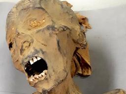 3000년 전 이집트 ‘절규하는 여성 미라’의 비밀…CT 검사로 밝혀졌다