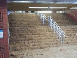 3시간여만에 물바다 된 부산…인명 피해 등 역대급 비 피해