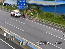 "대형견 니가 왜 거기서 나와"…<strong>영동고속도로</strong>서 포획 중 폐사(종합)