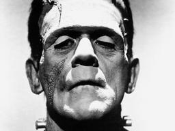 만들어진 괴물, 그 분노의 서(書)