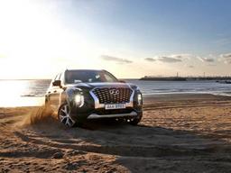 '<strong>팰리세이드</strong> 中서 온라인으로 판매'…<strong>현대</strong>차의 노림수는