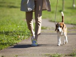 식사후 걷기, 이래서 좋다
