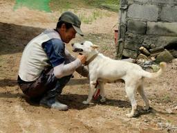 "멍멍!" 새벽에 필사적으로 짖어 주인 살린 충견 '해피'