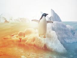 지구의 여섯번째 눈물···대멸종 또 오나