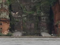 중국 홍수로 '세계 최대 석불' 잠겨…싼샤댐 '물폭탄 비상'