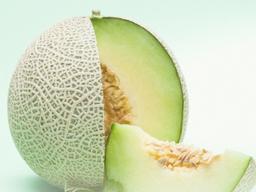 "혼자 먹기 미안한데" 강아지에게 수박·<strong>멜론</strong> 먹여도 될까