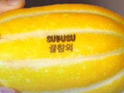 직접 <strong>레이저</strong>로 새겨봤다… 궁극의(?) 친환경 기술