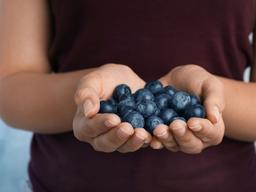 고마운 블루베리, <strong>피부</strong> 콜라겐도 지원