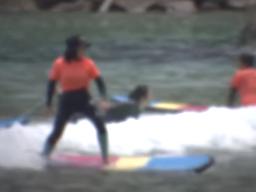 태풍주의보 내렸는데 서핑을?…여러 사람에게 <strong>민폐</strong>입니다