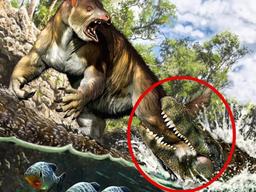 티라노보다 세다!…‘무는 힘’ 7t 역대 최강 고대 악어