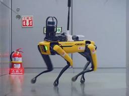 진짜 '강아지'같은 로봇.^^ 국내 한 대 뿐인 로봇개 스팟 리뷰해봄