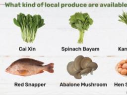 식품 수입의존도 90%, 싱가포르의 대책은?