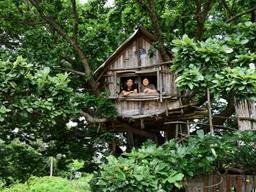 숲속 동물 벗 삼는… 나무가 집이다